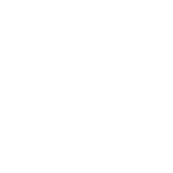 logo white 1.png